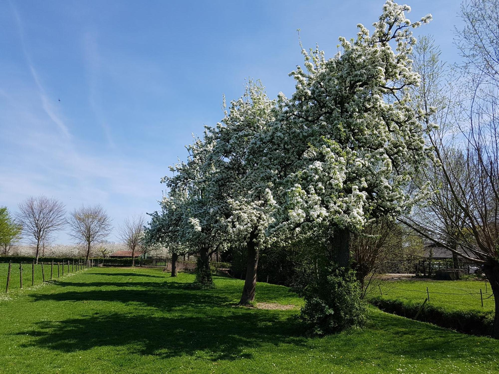 Meschermolen 1, Klein 4-Persoons Appartement Eijsden Esterno foto